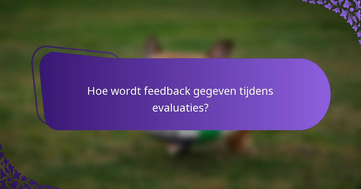 Hoe wordt feedback gegeven tijdens evaluaties?